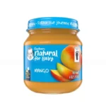 mango baby food