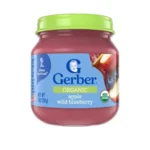 Gerber Organic Apple & Wild Blueberry Custard 113gm
